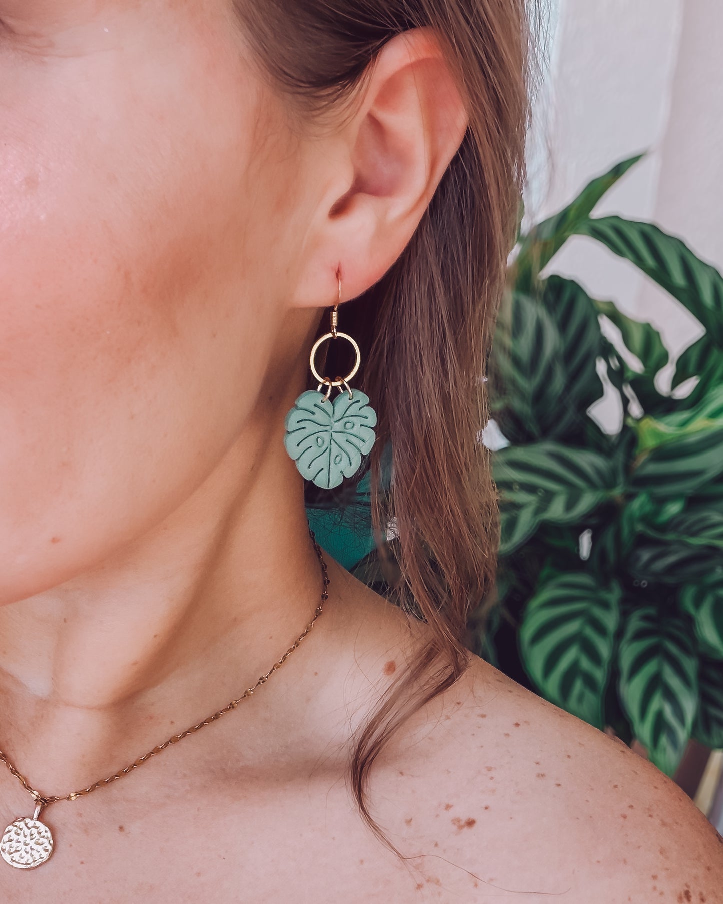 Monstera Breeze
