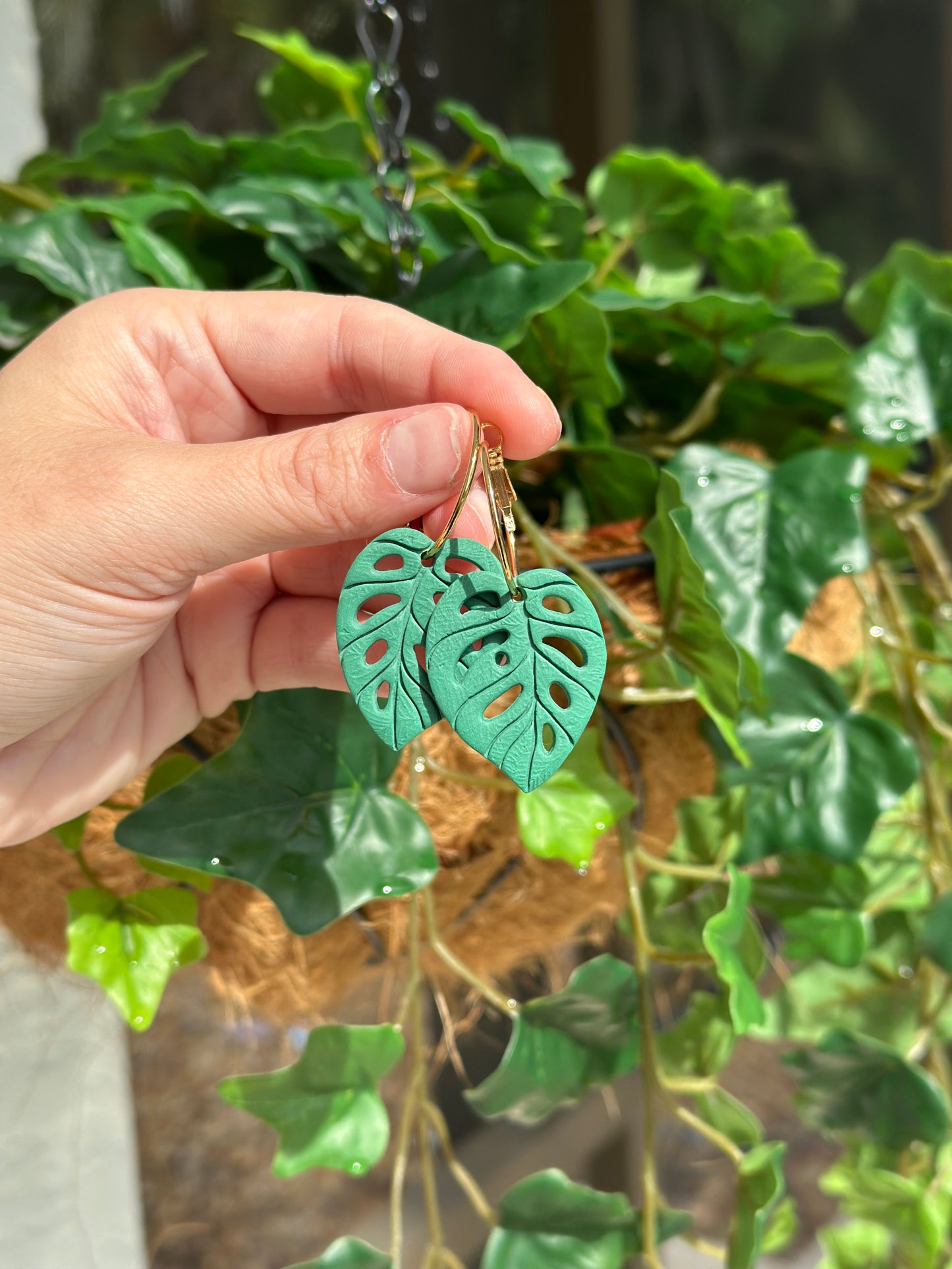 Monstera Hoops