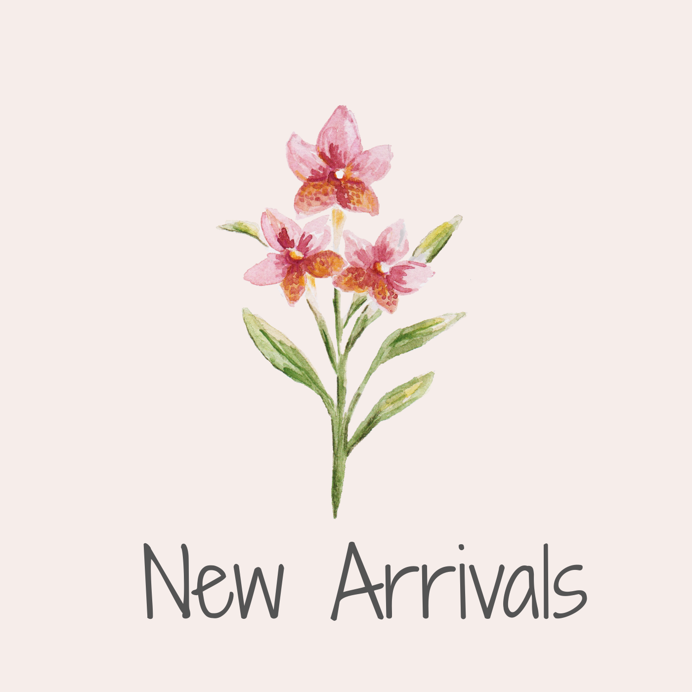 New Arrivals