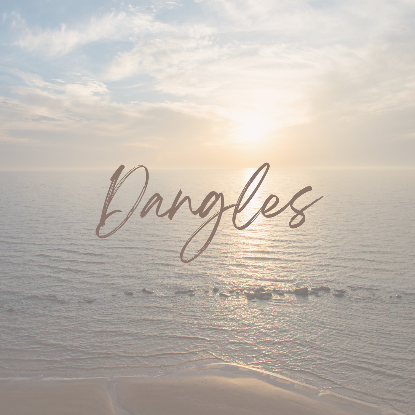 Dangle Earrings