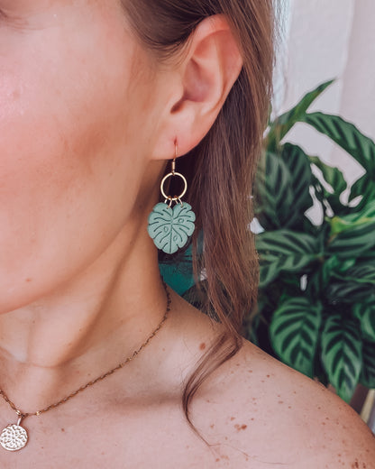 Monstera Breeze