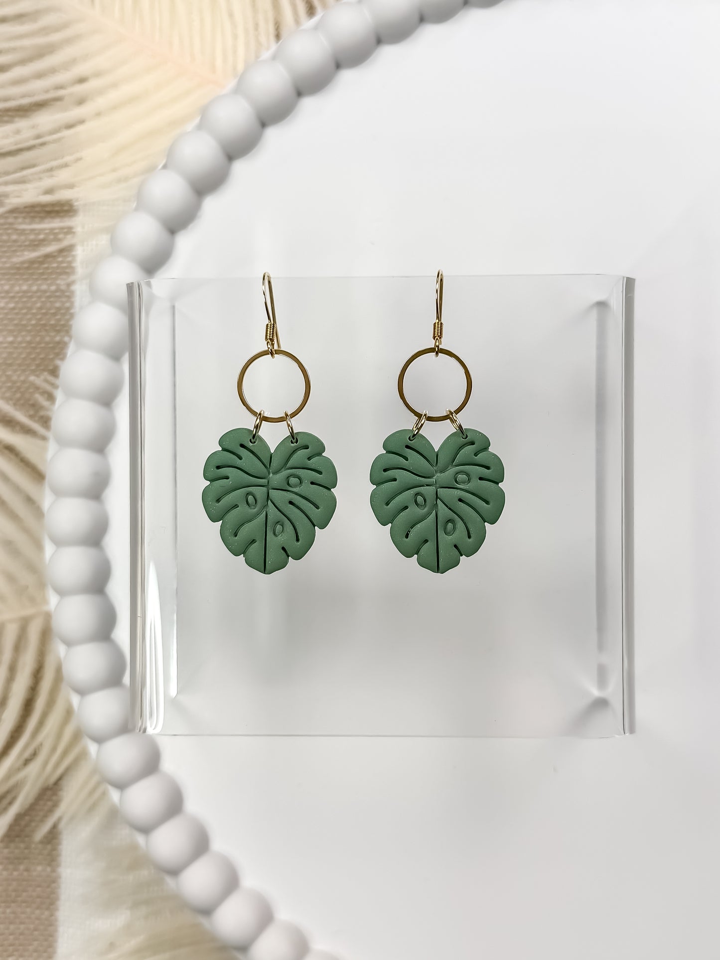 Monstera Breeze