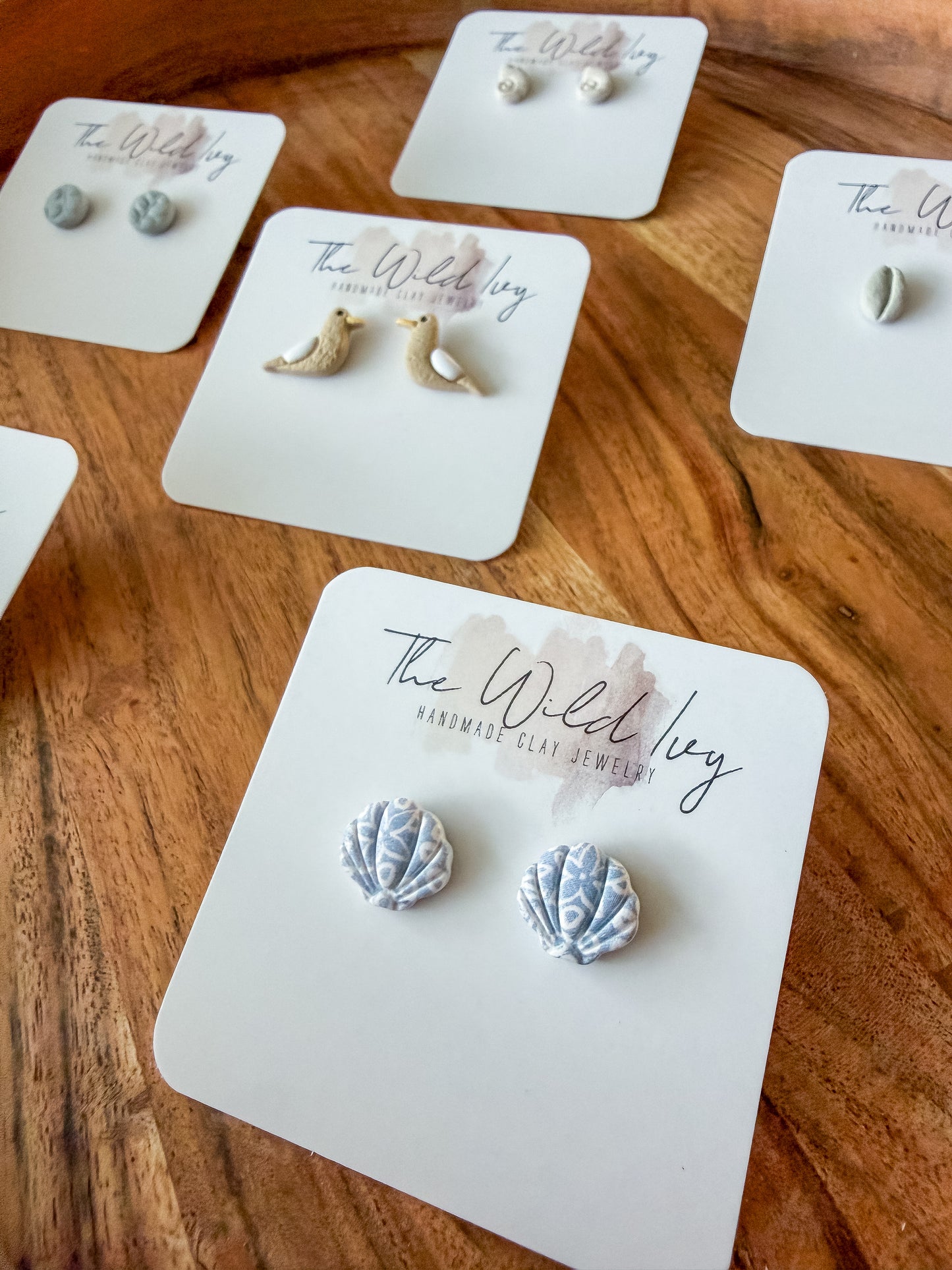 Harbor Shells